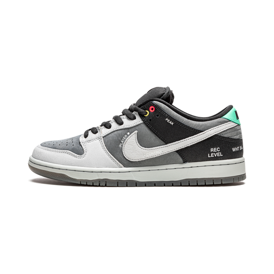 Dunk Low "VX1000 Camcorder"